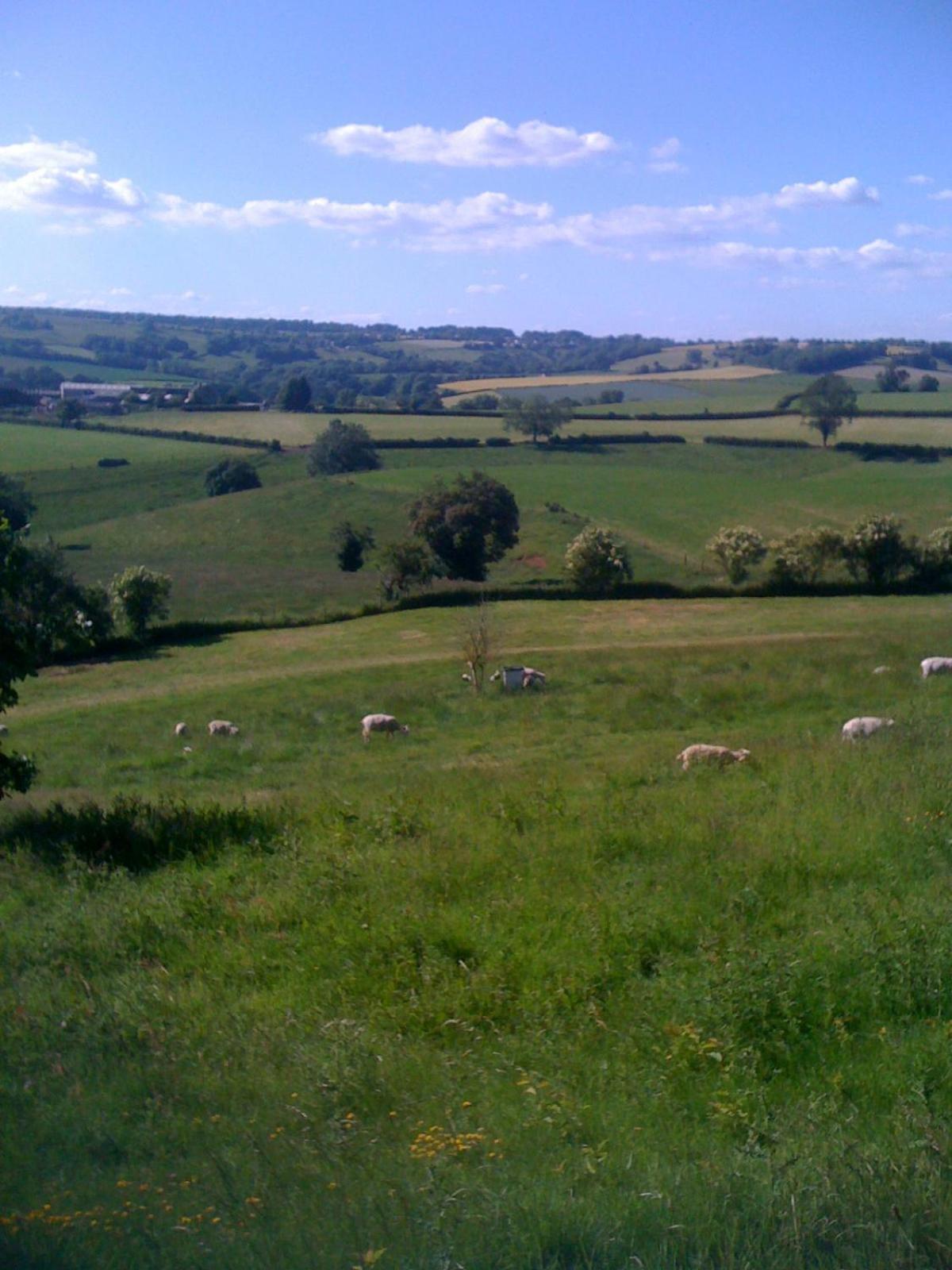 T'S At Lower Rudloe Farm Guest House Corsham Luaran gambar